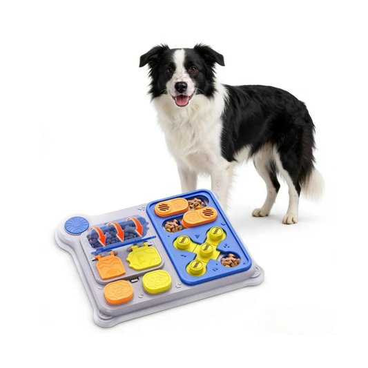 Border collie with the Wagly Dog Puzzle Feeder board