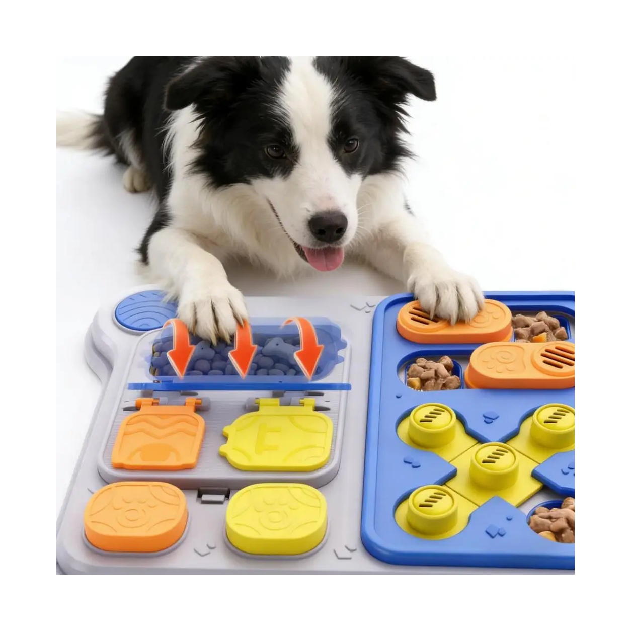 Dog working the sliders and treat covers on the puzzle feeder
