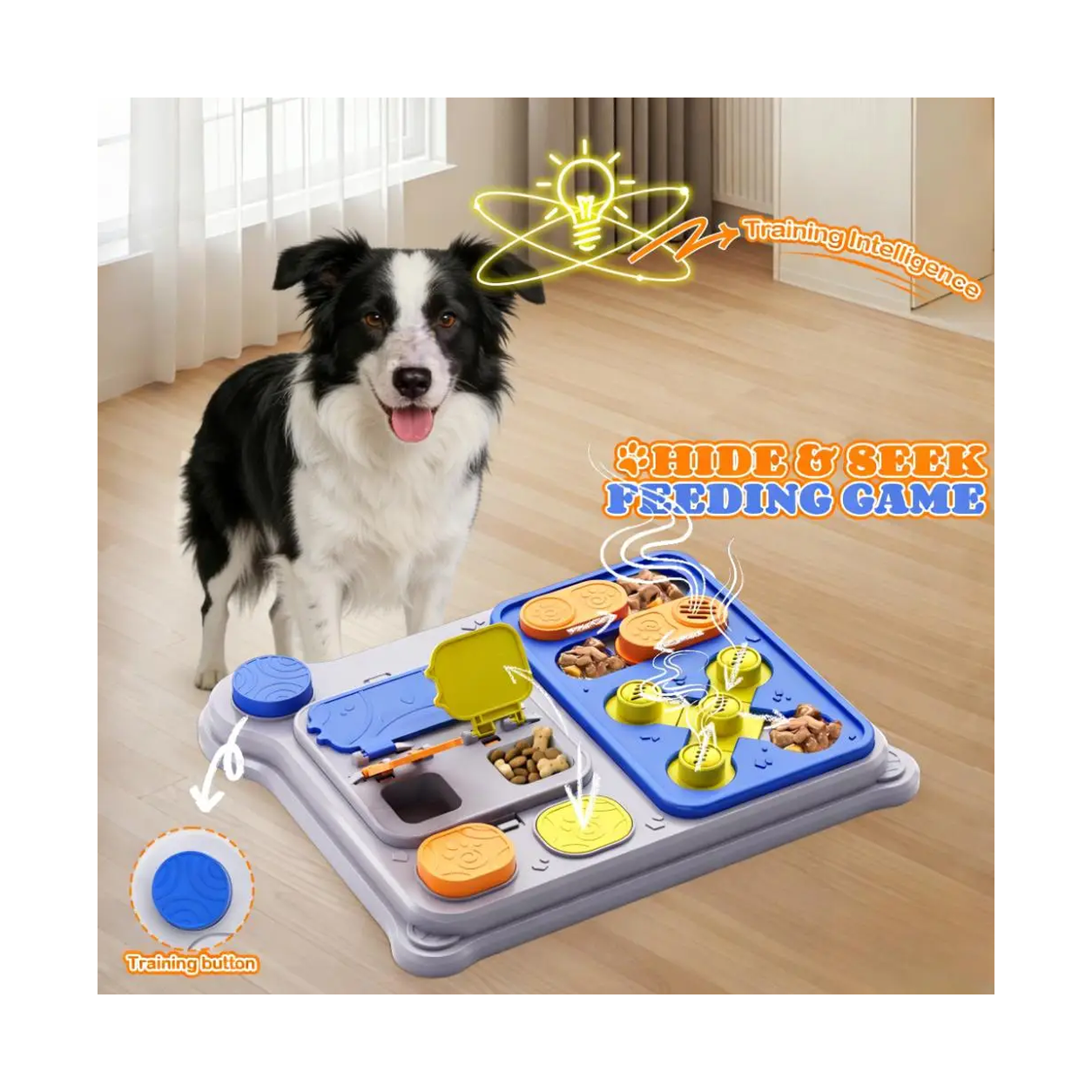 Hide and seek feeding game with training button