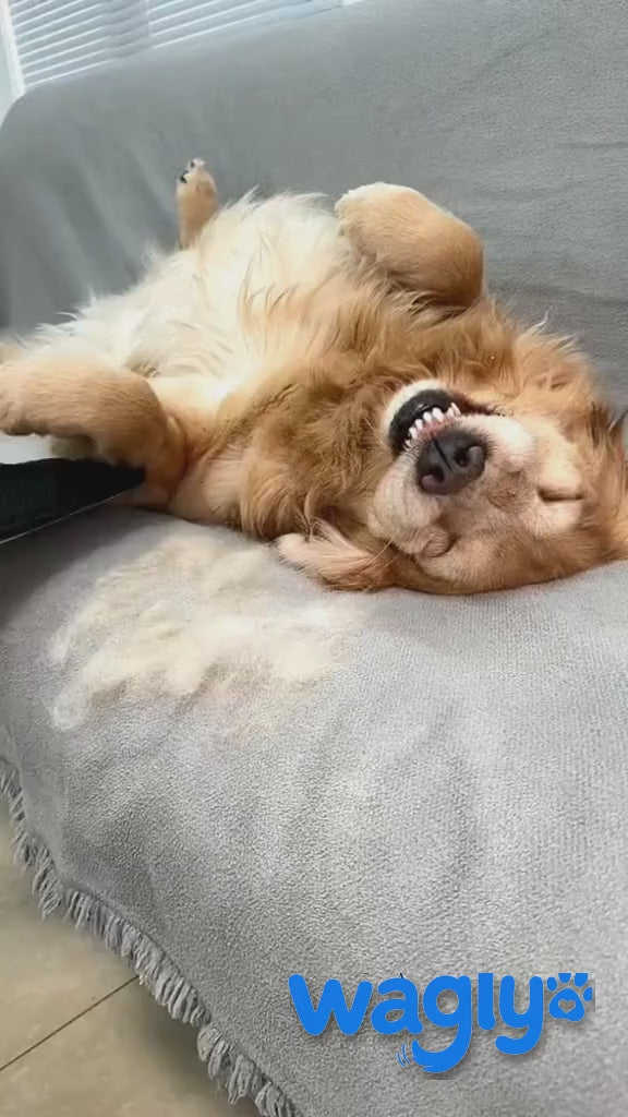 One pass, no brush