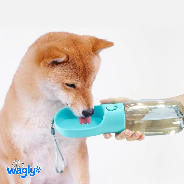 Dog drinking from the Wagly 2-in-1 travel bottle
