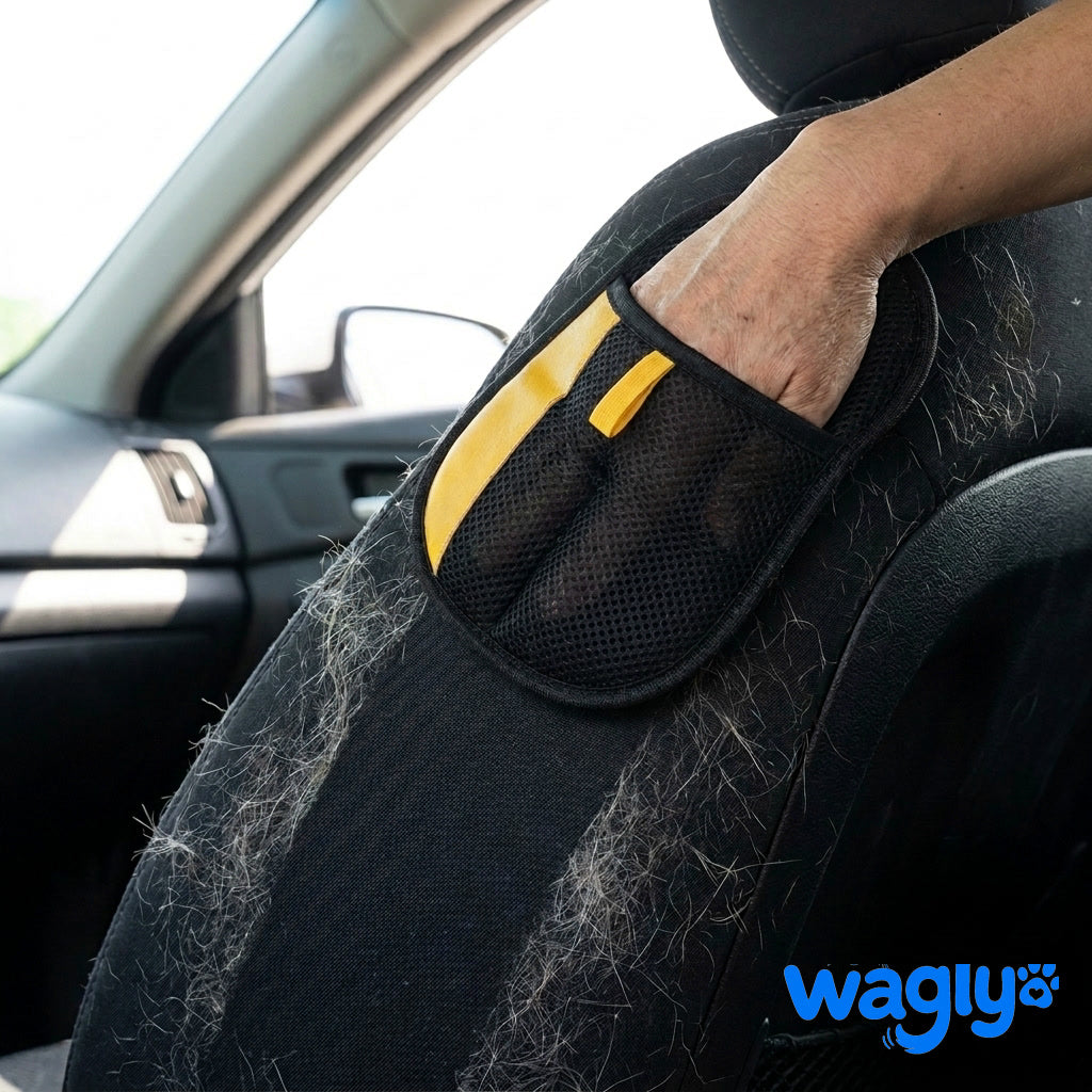The Wagly glove clearing pale pet hair off a black fabric car seat