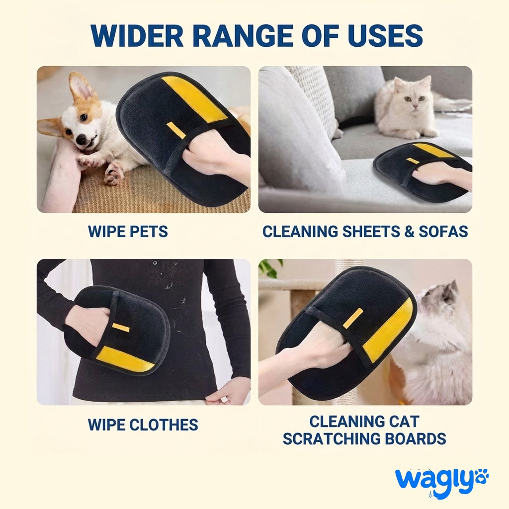 Four uses for the Wagly glove: wipe pets, clean sheets and sofas, wipe clothes, clean cat scratching boards