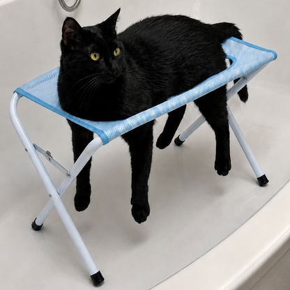 Black cat standing on the grooming stand over a bathtub