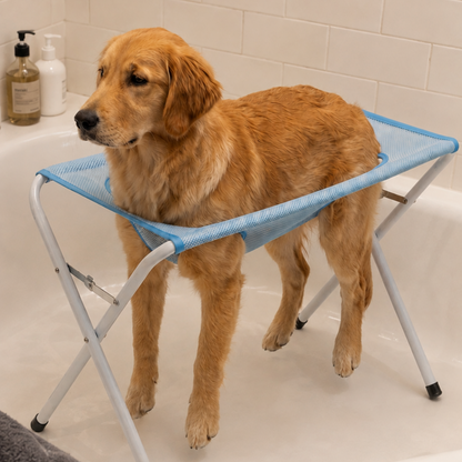 Golden retriever standing on the grooming stand in a bathroom